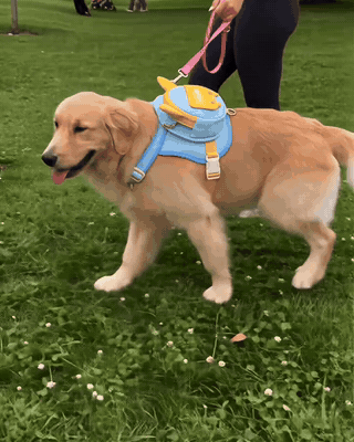 Dog walking in the park wearing the harness backpack